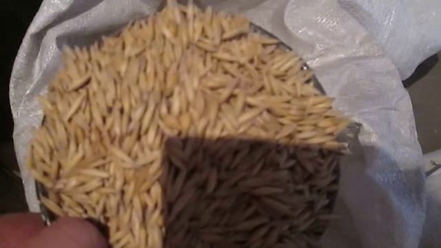 Супер рацион для кроликов! Зерно смесь Дедушкин рецепт. смотреть онлайн