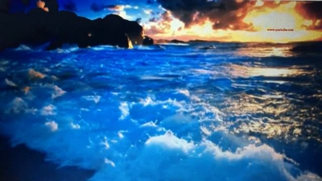 Польша Птицы - вестники... Таня Бондар смотреть онлайн