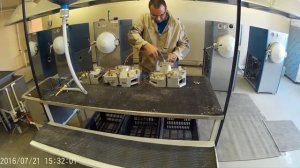 ЛГМ технология.Белый цех. Ручное изготовление ЛГМ моделей.