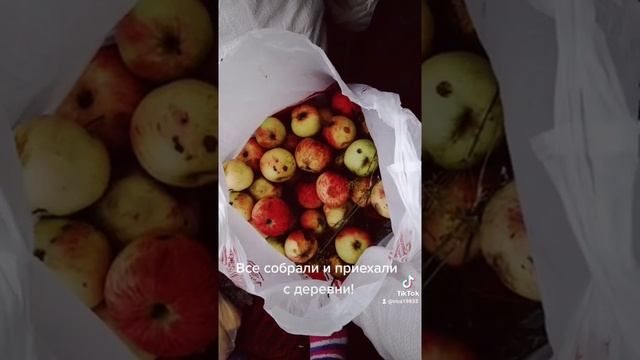 Вот и закончился дачный сезон(( смотреть онлайн