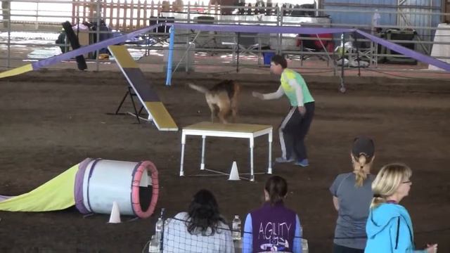 Tracy and Honey Novice Standard 2 27 14 смотреть онлайн