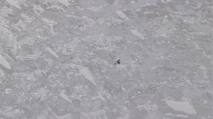 Планета Земля. 6 серия. Документальный фильм о природе