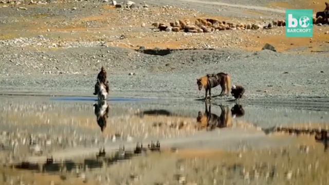 Top 10 largest grassland in the world|Top 10 biggest grassland in the world| смотреть онлайн