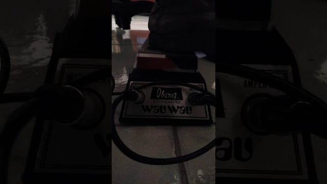 Ibanez Wau Wau Standard - Trial смотреть онлайн