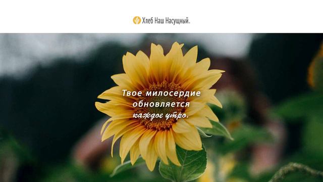 МИЛОСТЬ И БЛАГОДАТЬ | Ежедневное христианское чтение | 30 августа 2021 смотреть онлайн