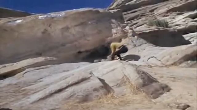 Two Steps From Hell makes any battle epic - Kirk vs. Gorn смотреть онлайн