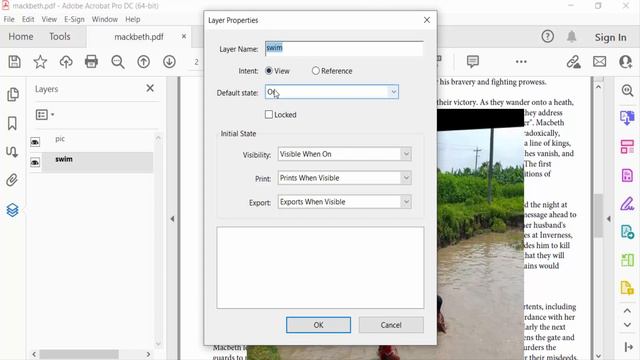 How To Remove Layers In Adobe Acrobat Pro DC