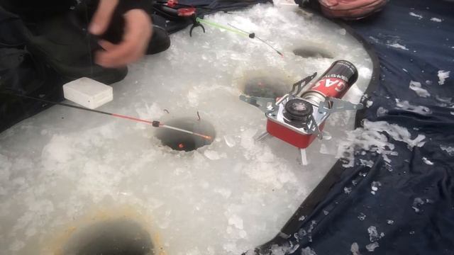 РЫБНОЕ АСОРТИ!Зимняя рыбалка !!!#рыбалка #рыбалка2022 #таранка #нальду #палатка