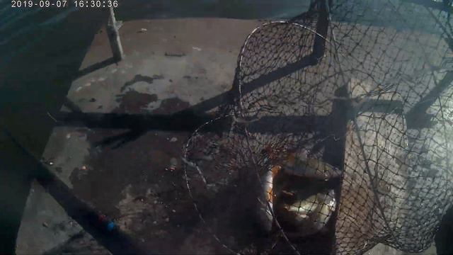 Рыбалка на окуня смотреть онлайн