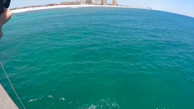 Fisherman Caught the One Fish Everybody Wants to Catch on the Pier! смотреть онлайн