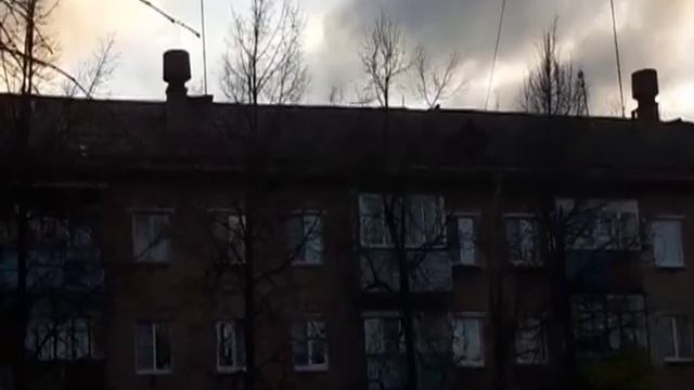 Сломанные остановки, упавшие деревья – о последствиях сильного ветра, обрушившегося на область смотреть онлайн