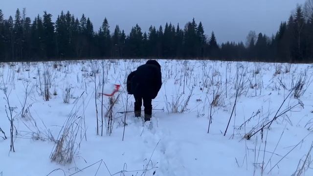 Чистим снег лопатой Finland телескопической 1 января 2021 смотреть онлайн