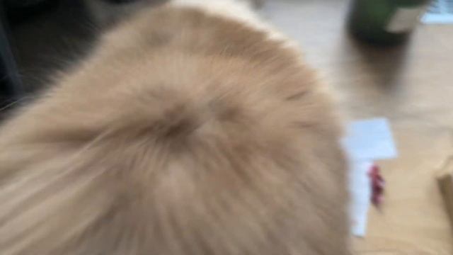 ВЫШИВАЛЬНАЯ НЕДЕЛЯ 26 ИЮЛЯ - 1 АВГУСТА | ФИНИШИ И СТАРТЫ смотреть онлайн