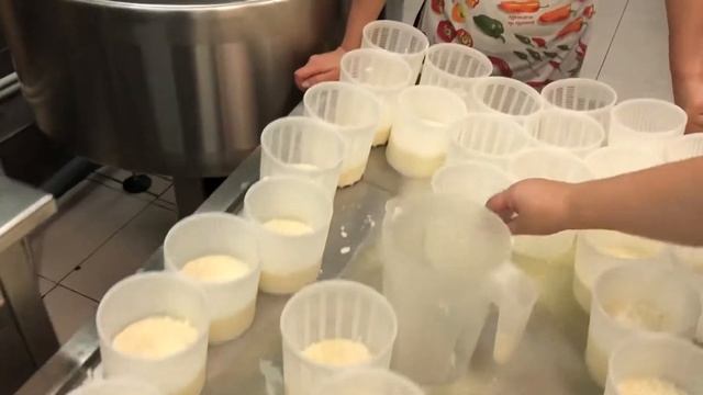 Сыр Халуми, получение сырного зерна Школа сыроваров на Щелковской 100 смотреть онлайн