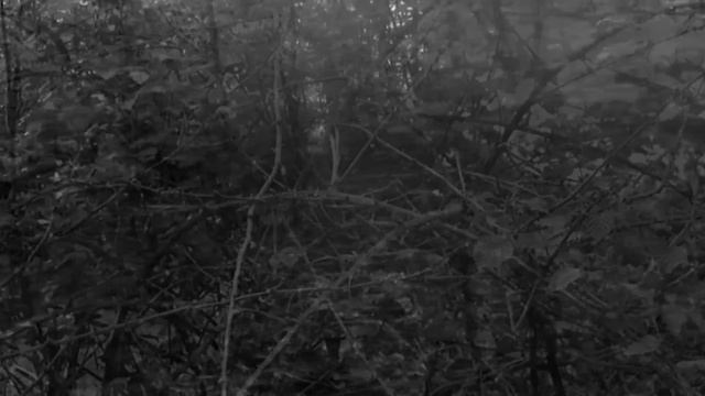 Druhá Smrt - Amentia Vernum смотреть онлайн