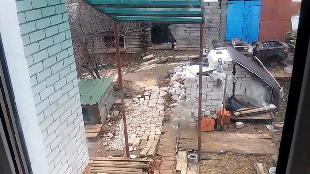 Птичка бьётся в окно смотреть онлайн
