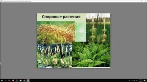 Систематика растений Биология