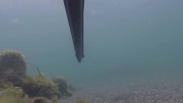 Подводная охота Каспийское море Баку Артем GP010224 смотреть онлайн