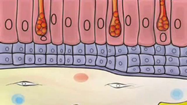 Табачный дым смотреть онлайн