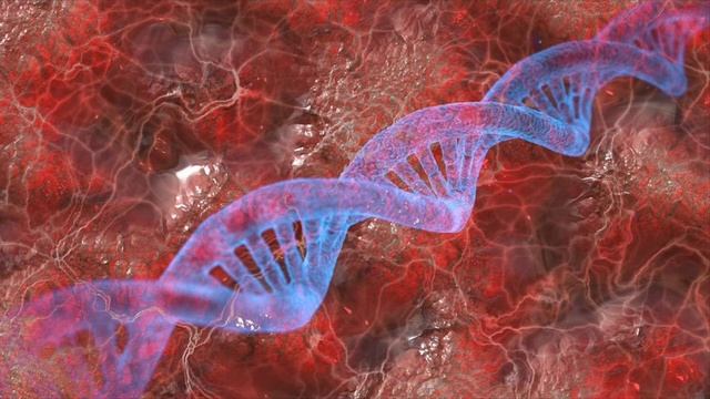 Молитва из темы «ГЕН НЕТЛЕНИЯ В ТЕБЕ» А.Яковишин смотреть онлайн