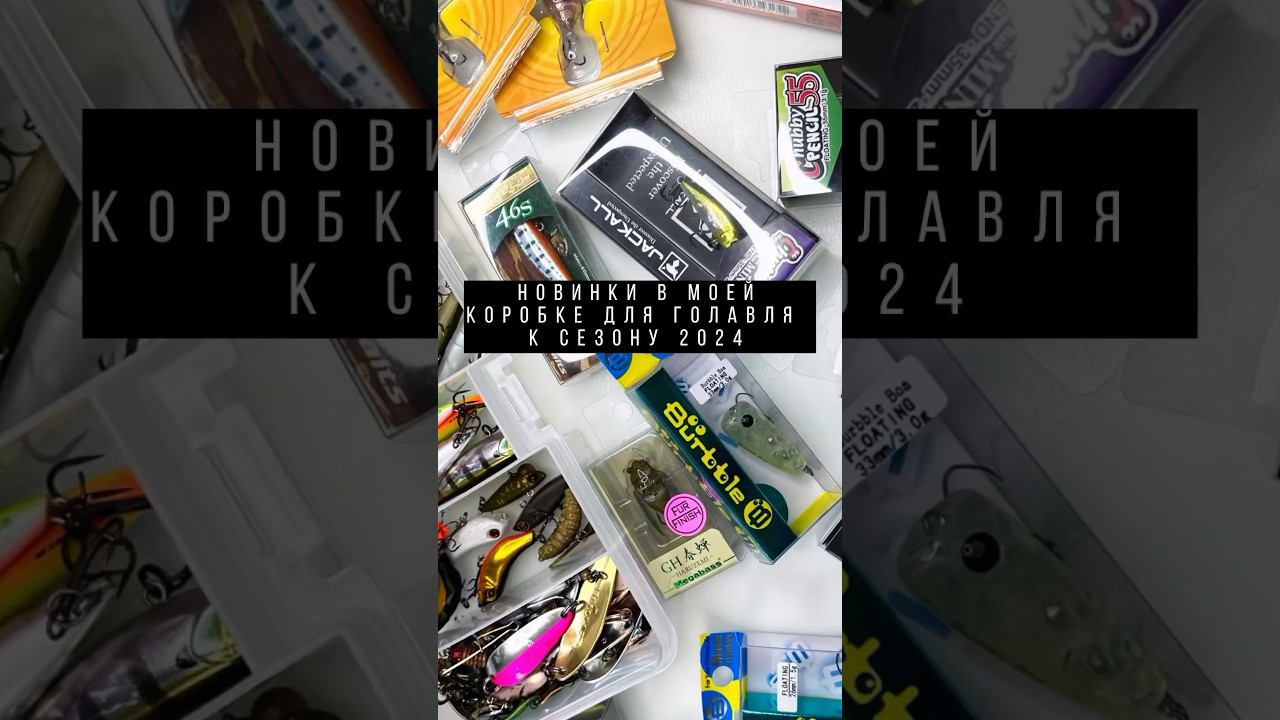 Новинки 2024 в моей голавлевой коробке #голавль #спиннинг #воблеры #ультралайт #голавльнаспиннинг смотреть онлайн