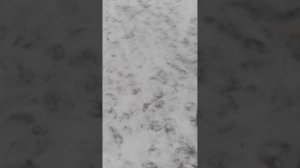 Китайская Бензопила Пит 4516 работает на масле четырехтактным Рольф