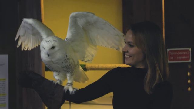 Canon r6, ef24-105 f4 Совиный дом (Owl House) смотреть онлайн