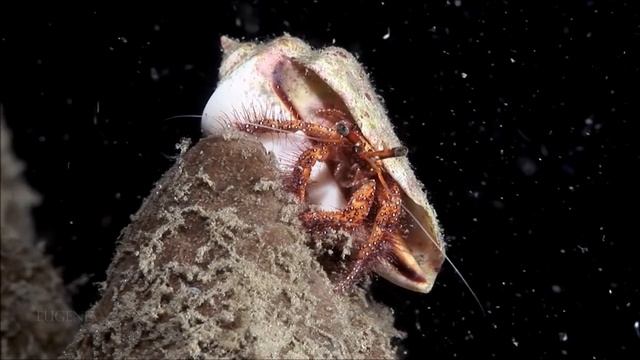 4K Музыка   Красивый ОКЕАН, Шикарная Музыка !!! НОВИНКА