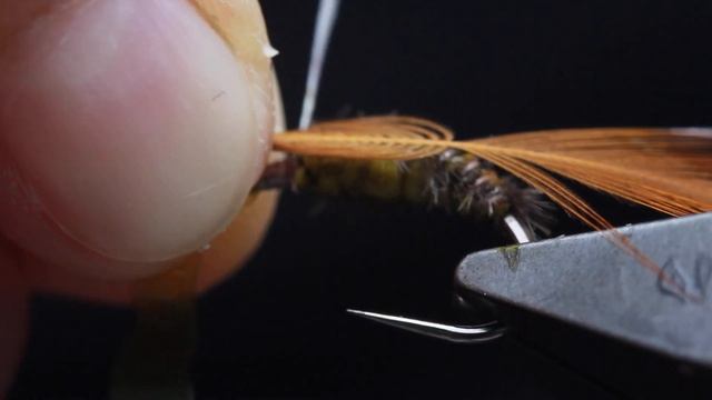 Tying Realistic Caddis Pupa смотреть онлайн