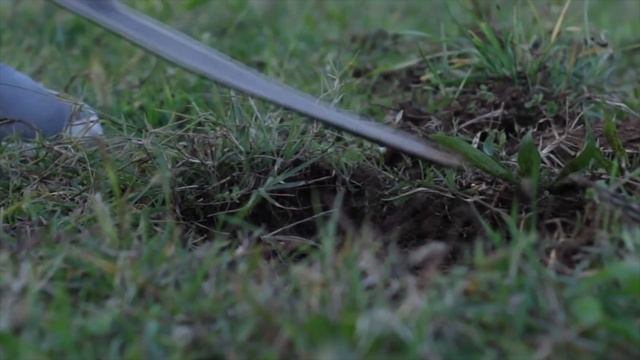 Эти 7 умных мыслей разрушат в тебе труса и неудачника – Как стать героем и перестать быть трусом смотреть онлайн