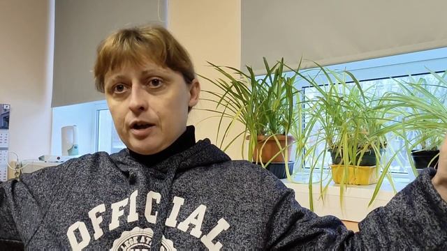 Молекулы Импульсов