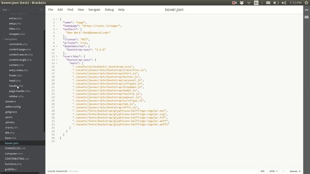 Installing and configuring Sage (roots) WordPress theme смотреть онлайн