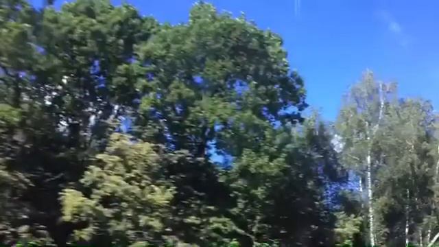 ПОЗДРАВЛЯЮ С ДНЁМ ЗНАНИЙ смотреть онлайн