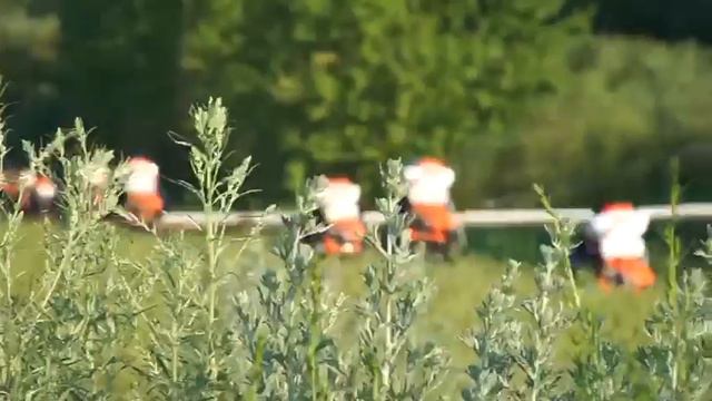 Нур-Султане проводятся дезинсекционные работы против комаров, мошек и других насекомых смотреть онлайн
