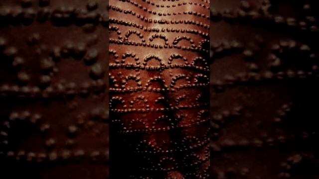 #ШРАМ НА ТЕЛЕ как паспорт #shorts #шрамирование смотреть онлайн