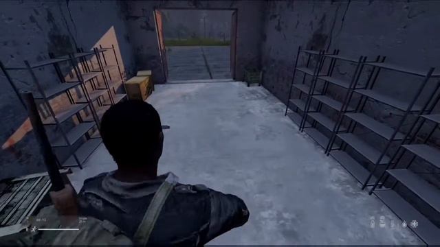 DayZ- BACK TO THE GREEN SIDE 1.19 ENDGAME PS5 смотреть онлайн