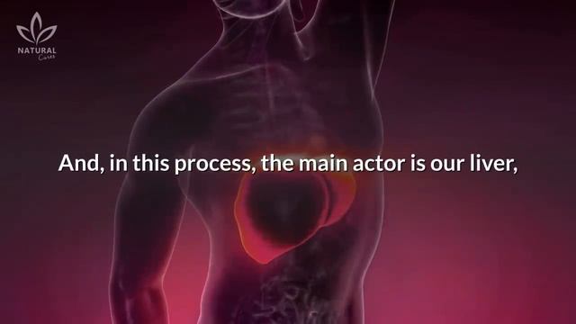 How To Do A Natural Liver Detox & Cleanse