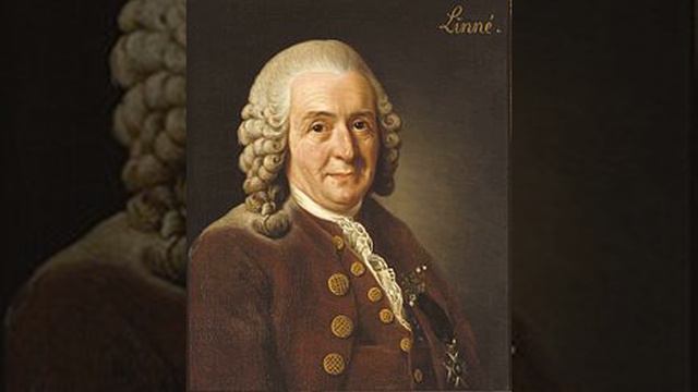 Carl Linnaeus