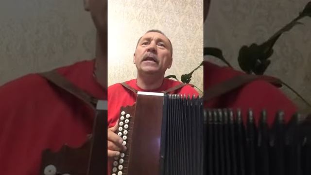 Гармонь Кировская 1954г,Соль-мажор (Каким ты был...) смотреть онлайн