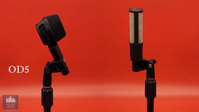 Austrian Audio OD5 and OC16 Microphone Head to Head - Five Minute Mics - Finlos Lives смотреть онлайн
