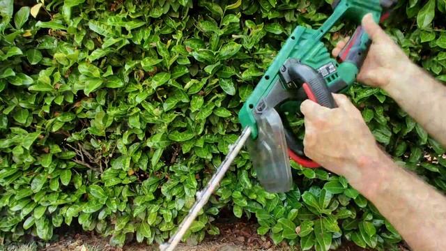 Parkside PHSA 20 Li A1 tagliasiepi a batteria recensione ITA смотреть онлайн