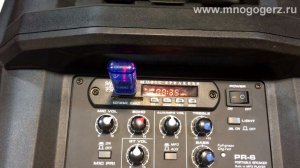 Портативная акустическая система Leem PR-6