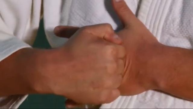 Охранное предприятие "Заслон" / Самооборона Джиу-джитсу смотреть онлайн