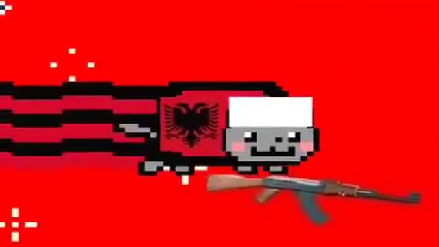 Nyan Cat  Albania