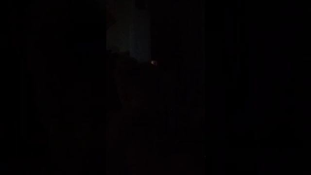 the lonely bear part 1 смотреть онлайн