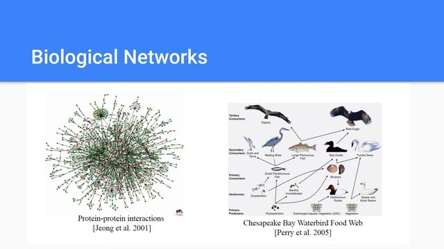 Network Analysis using Python - Intro смотреть онлайн