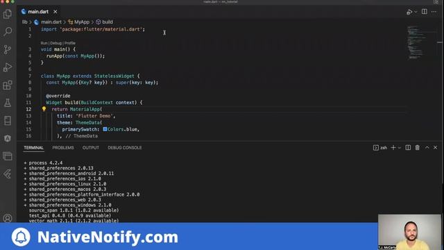 Flutter Push Notifications + Firebase | Native Notify смотреть онлайн