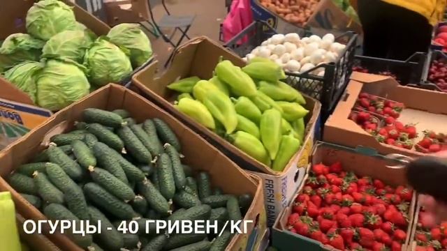 Отзывы доставки продуктов Привоз Онлайн 2020