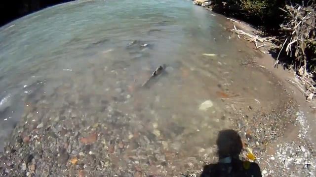 Путь к морю. Пакрафтинг от Вистлера до Ванкувера. Канада смотреть онлайн